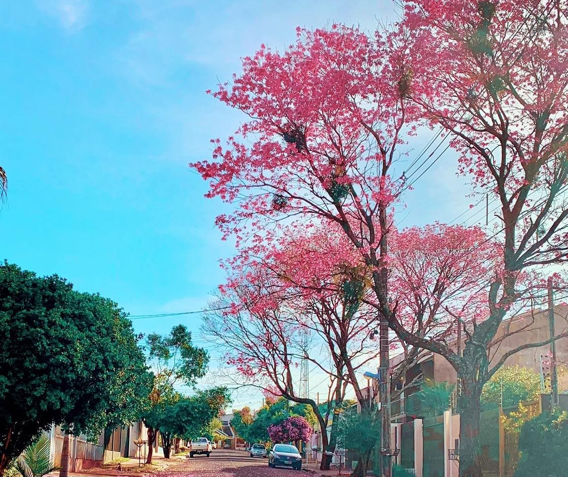 Frio perde força e Maringá tem máxima de 29°C nesta segunda-feira