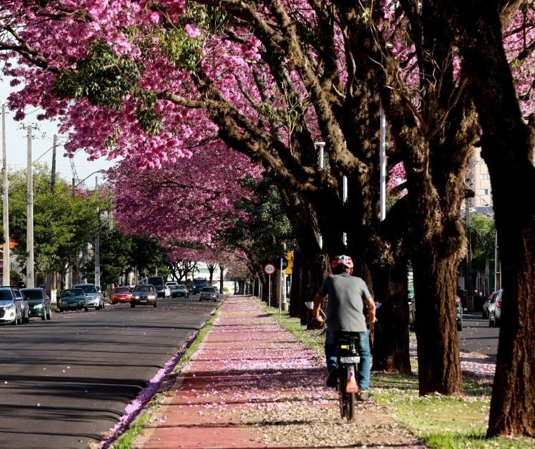 Publicado contrato para construção de ciclovia na Avenida Mário Urbinati