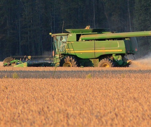 Puxado por soja, PIB agropecuário pode crescer entre 3,4% e 4,1%, diz Ipea