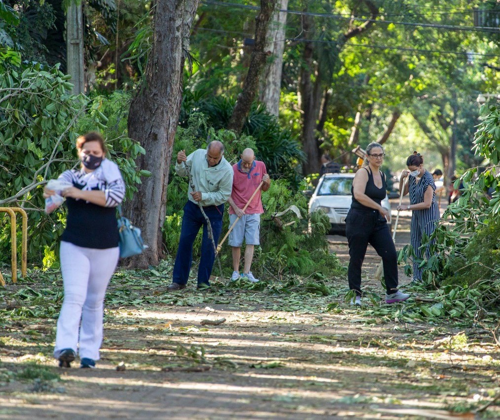 11 árvores caíram dentro do campus da UEM durante o temporal