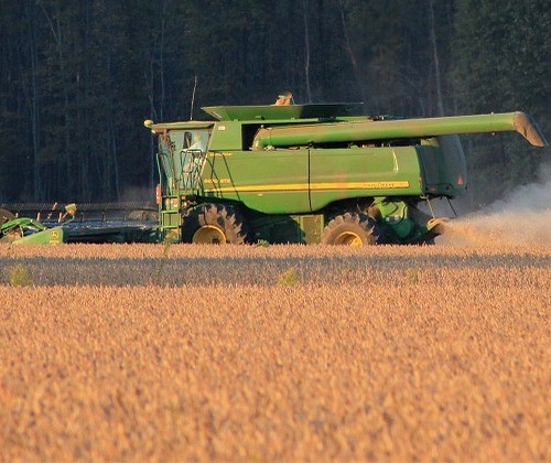 Soja custa R$ 81,50 em Maringá