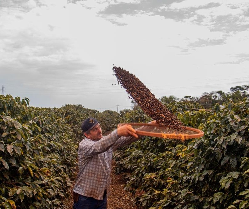 Produtores de Mandaguari buscam selo Denominação de Origem para café