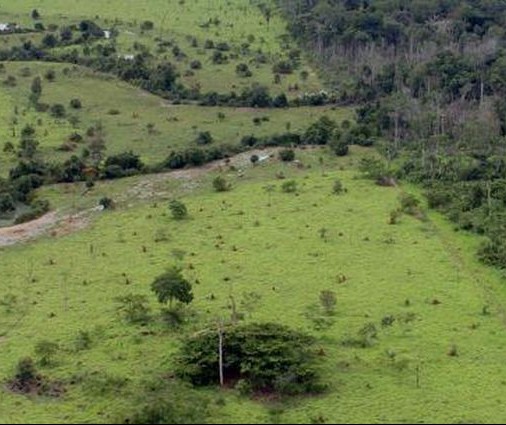 Prorrogado o prazo para adesão ao Programa de Regularização Ambiental 