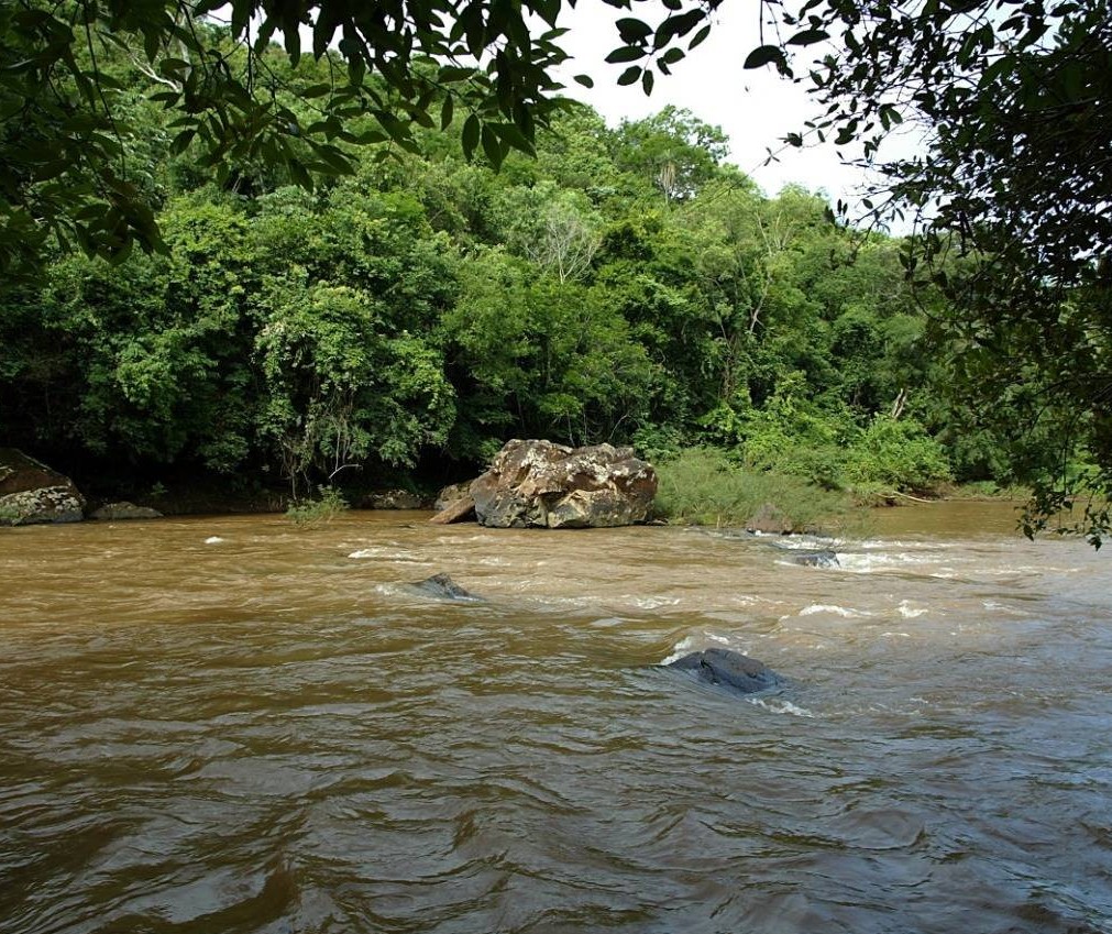 Pesca no Rio Piquiri está liberada a partir desse sábado (30)