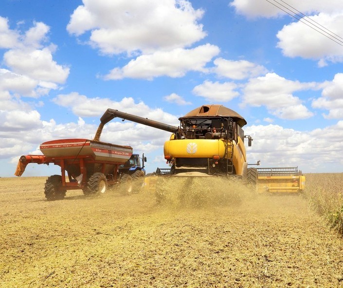 Agro brasileiro deve seguir crescendo em 2021, mas clima e dólar instável preocupam