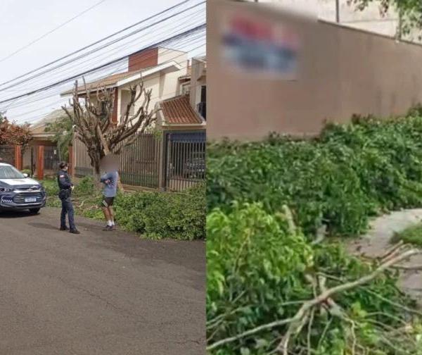 Homem é flagrado fazendo poda irregular de árvore em Maringá