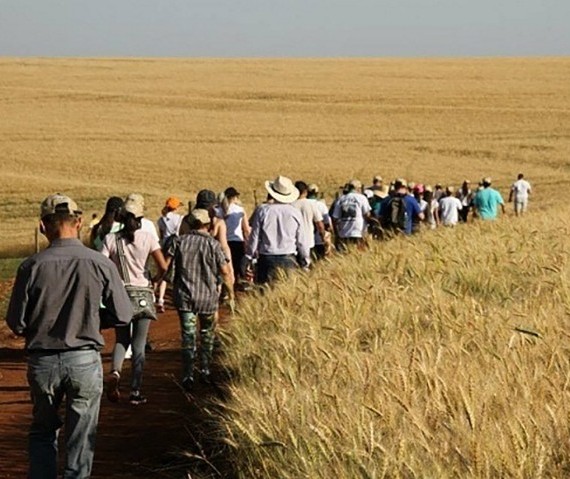 Caminhadas na Natureza terão 160 circuitos no Paraná este ano