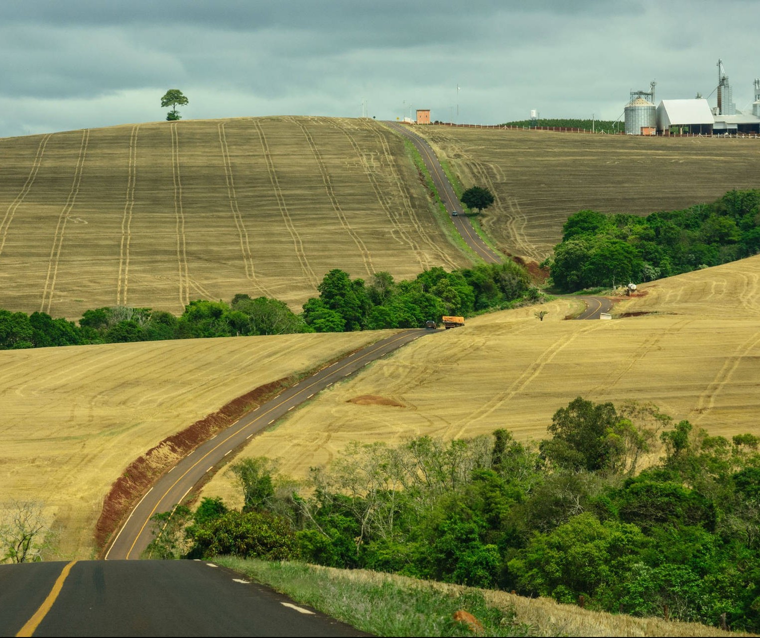 Volume de crédito rural com taxas de juros do Plano Agrícola cresce 19%