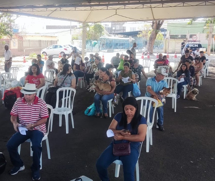 650 cães e gatos devem ser castrados até esse domingo (24)