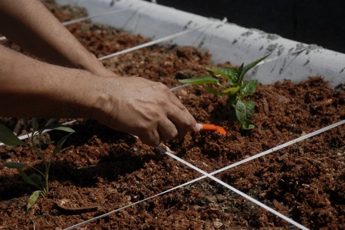 Saiba o que são produtos organominerais