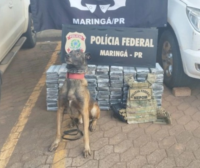 Polícia Federal prende duas pessoas com 100 quilos de cocaína