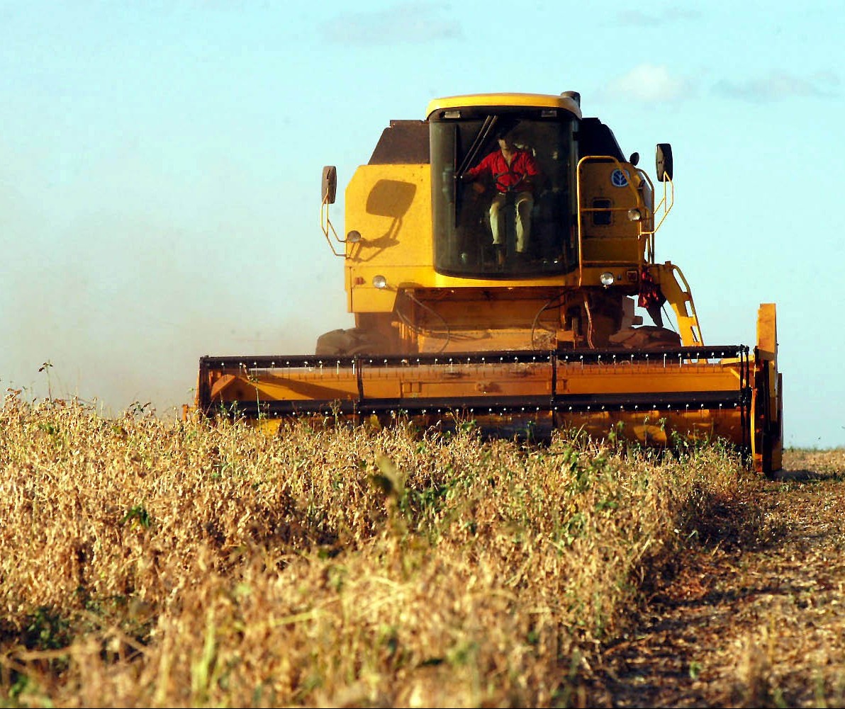 Falta de chuva preocupa produtores; soja começa a secar no campo