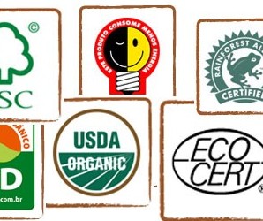 Importância da certificação ambiental para as organizações