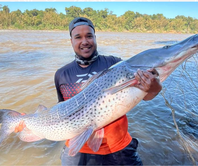 Pescador da região fisga pintado de 1,65m no Rio Ivaí