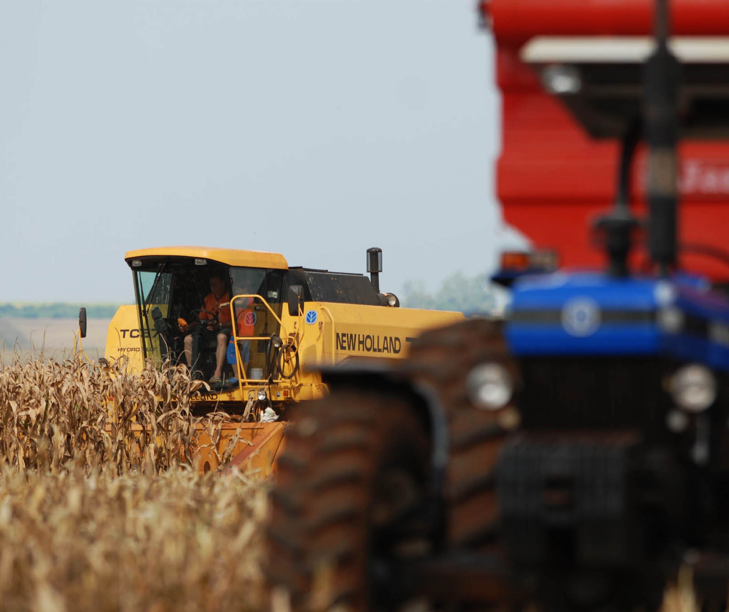 Brasil é líder na produção e exportação de produtos agrícolas