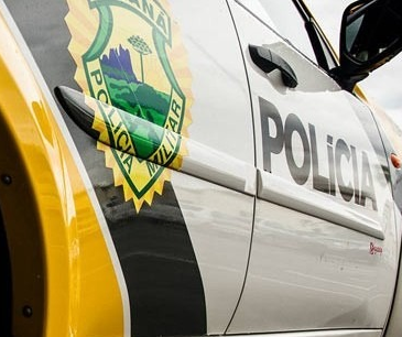 Criança é atacada por pitbull e populares tentam agredir dono de cachorro