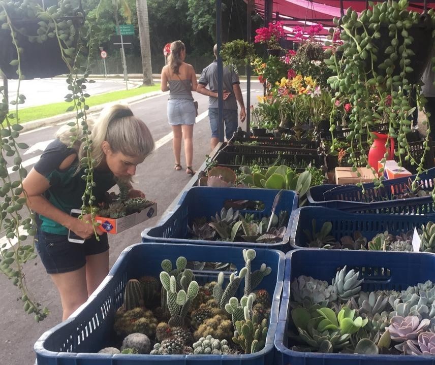 Feira das Flores retoma atividades com muitos clientes