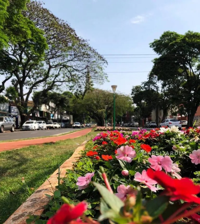 Chuvas podem voltar a Maringá neste domingo, aponta Simepar