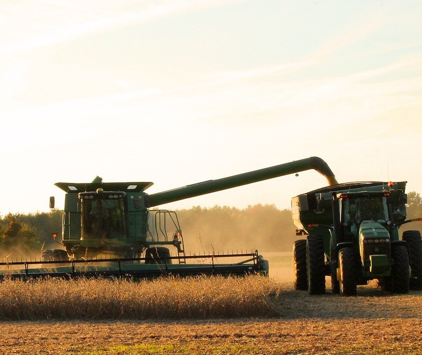 Produtores de soja do Brasil deverão aumentar a área plantada com soja em 3,8% na temporada 2020/21