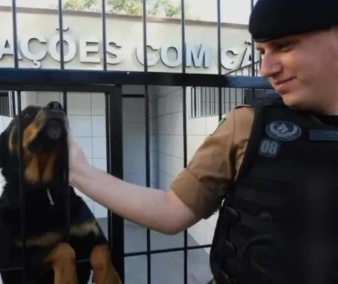 Corpo de cabo da PM que morreu na PR-323 é velado em Maringá