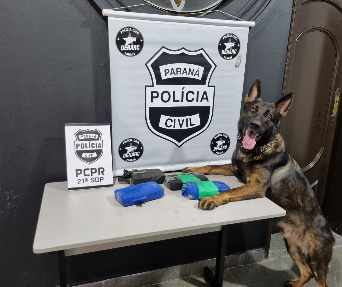 Com auxílio do cão farejador, Denarc apreende crack em fundo falso de veículo