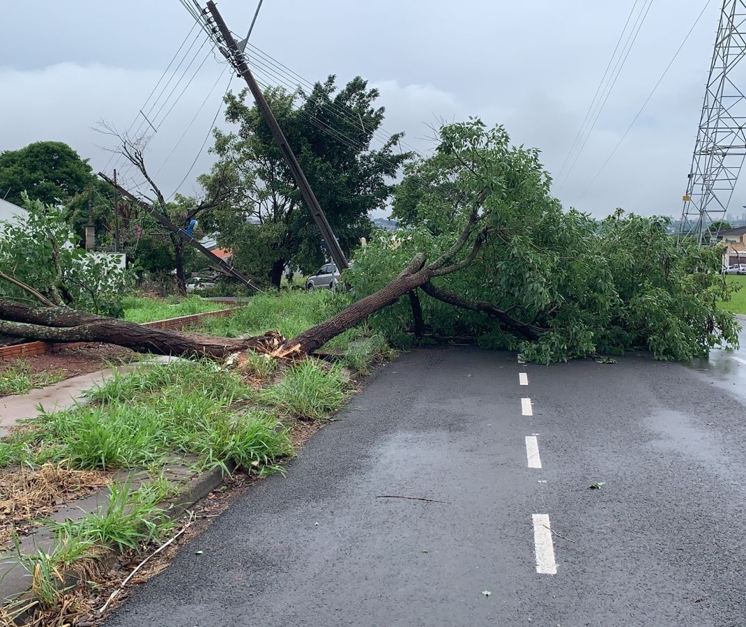 Com 3,5 mil imóveis sem luz, equipes ainda trabalham para recuperar danos causados por temporal em Maringá