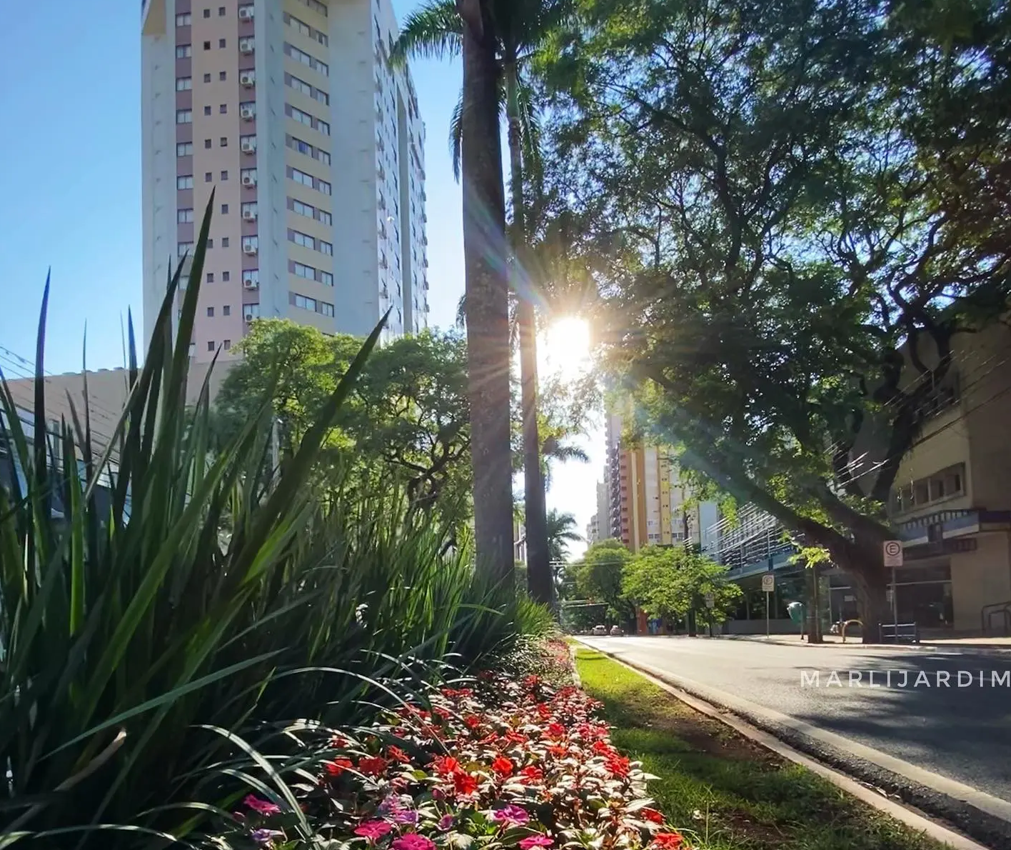 Com tempo firme e ensolarado, Maringá tem máxima de 27°C nesta terça-feira (19)