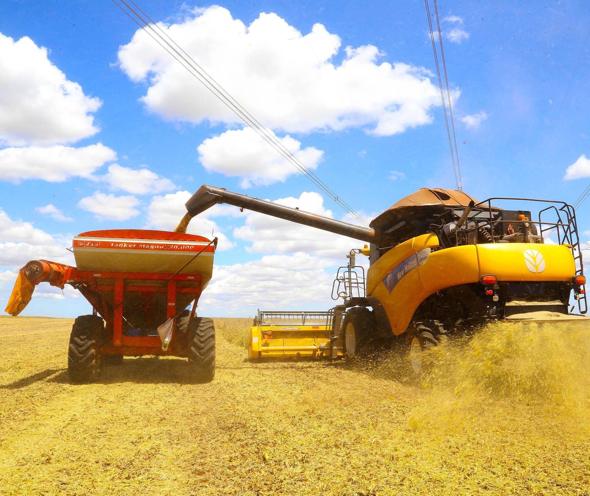 Brasil já colheu 10% da área cultivada de soja