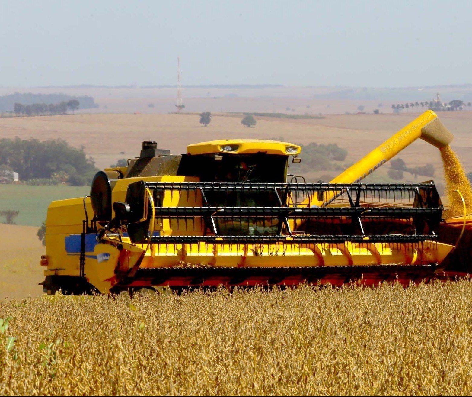 Comportamento do clima preocupa produtores rurais