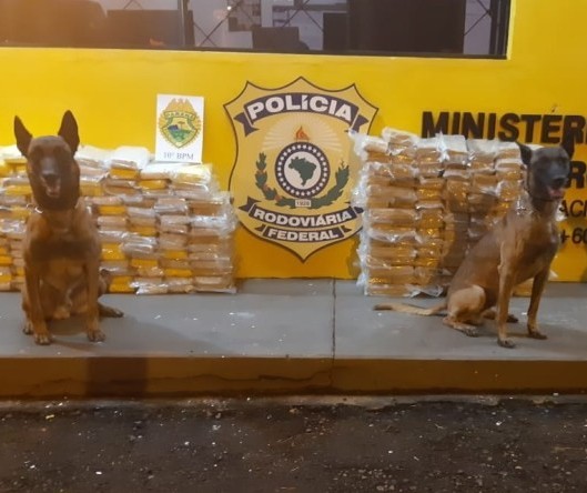 PRF apreende 159 quilos de cocaína e 108 de crack