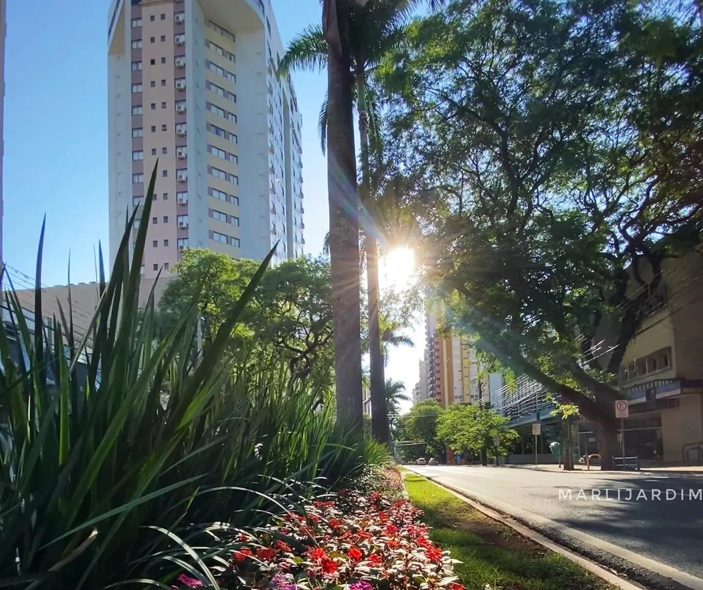 Terça-feira de céu claro e máxima de 31°C em Maringá, diz Simepar