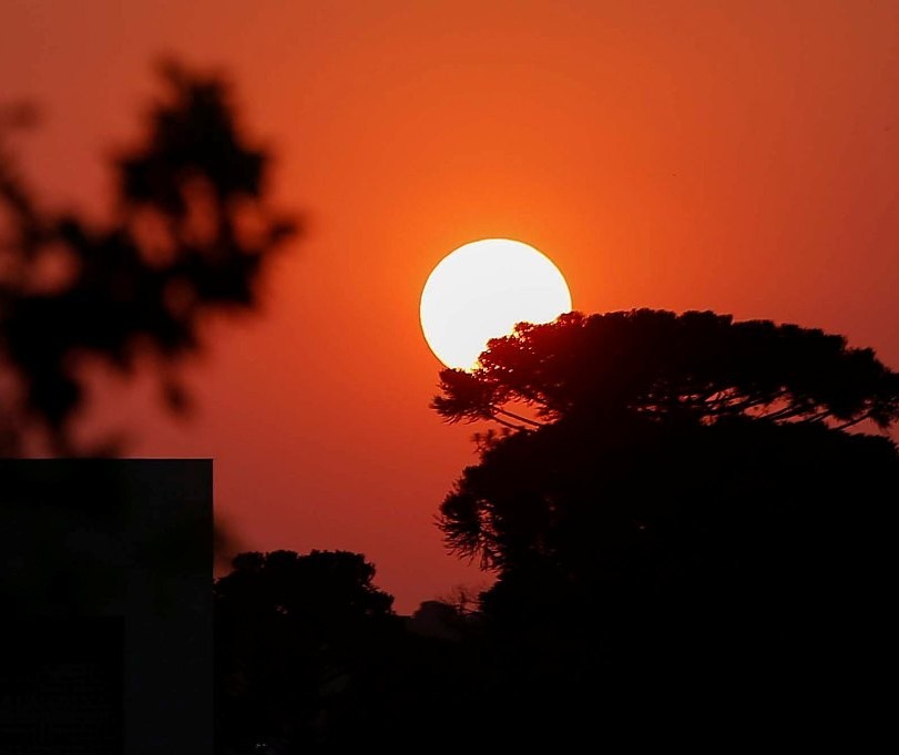 Maringá registra em agosto umidade do ar igual a do deserto