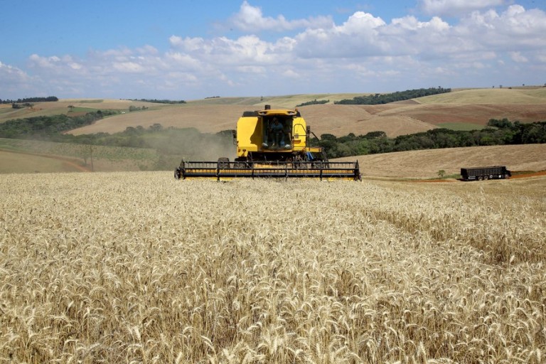 Tecnologia aplicada ao campo beneficia cultivo do trigo