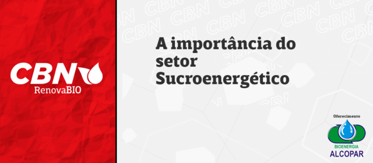 A importância da Política Nacional de Biocombustíveis para o setor sucroenergético