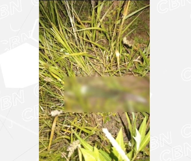 Filho esfaqueia pais e é encontrado ferido em Iporã