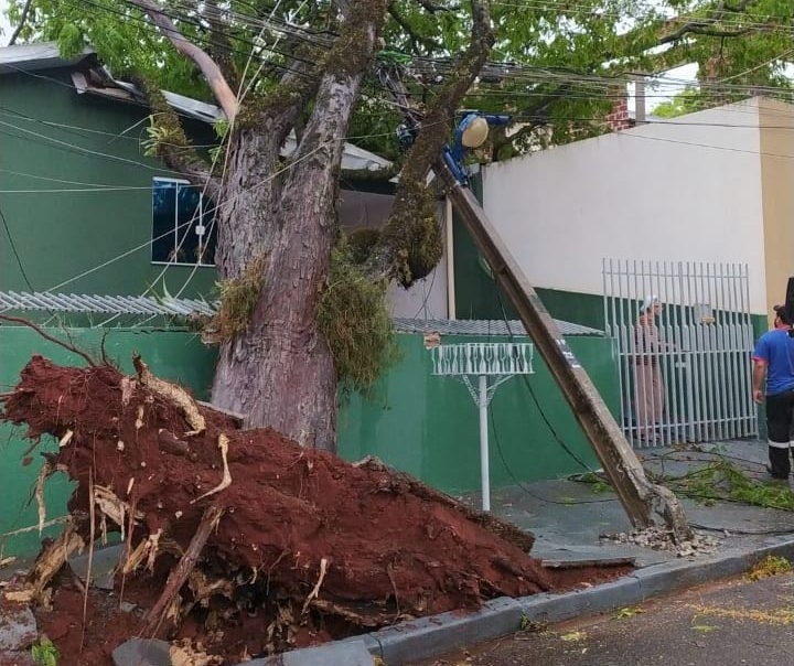 Copel registra queda de 122 postes de energia nas regiões norte e noroeste