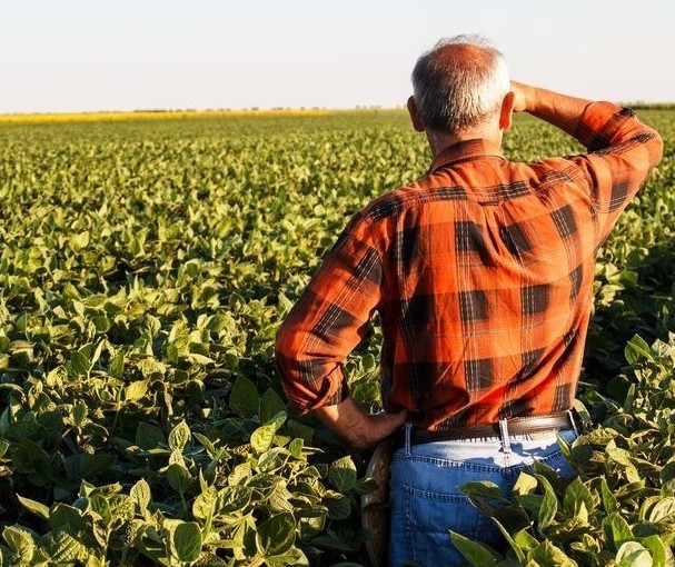 Nesta crise, no agro alguns setores levam uma 'pancada' e outros crescem