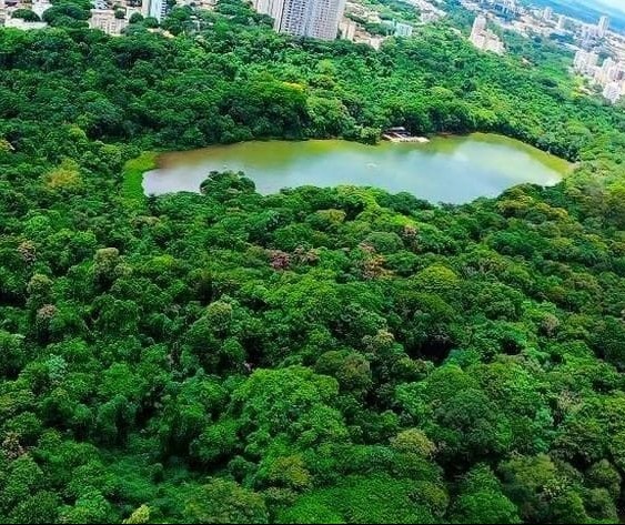 Projeto preliminar propõe desvio de canais para recuperar o nível do lago do Parque do Ingá