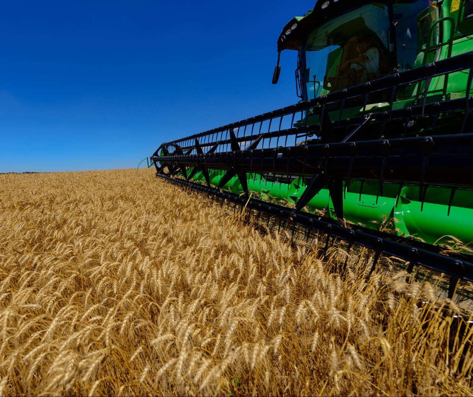 Cresce população ocupada no agronegócio, mostra estudo