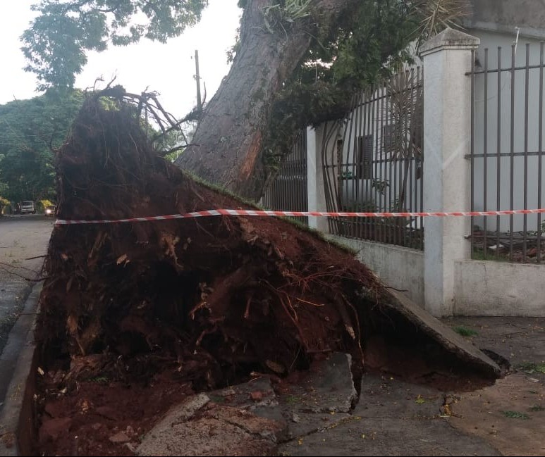 Temporal causa estragos em Maringá e deixa 24 mil imóveis sem luz