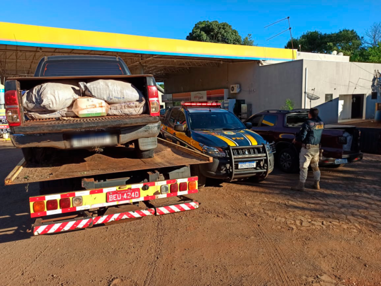 Polícia apreende duas camionetes com mais de 1 tonelada de agrotóxicos