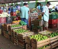 Ceasa de Maringá não abrirá no feriado