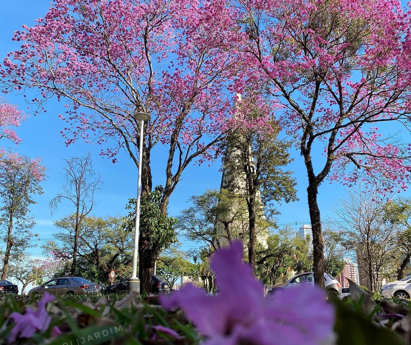 Terça-feira ensolarada e com altas temperaturas em Maringá, indica Simepar