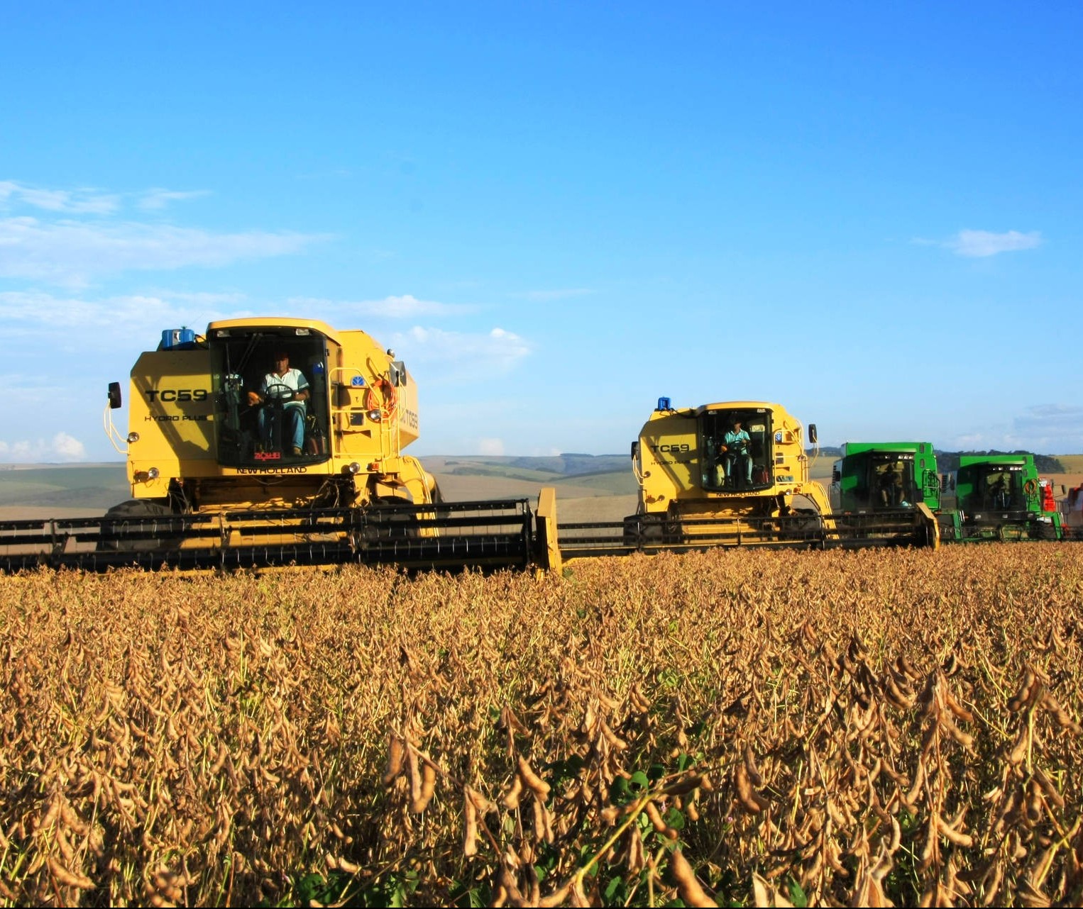 Soja custa R$ 71 a saca de 60 kg em Maringá