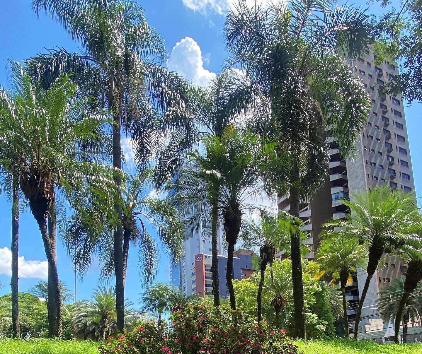 Calor segue intenso em Maringá nesta terça-feira (07)