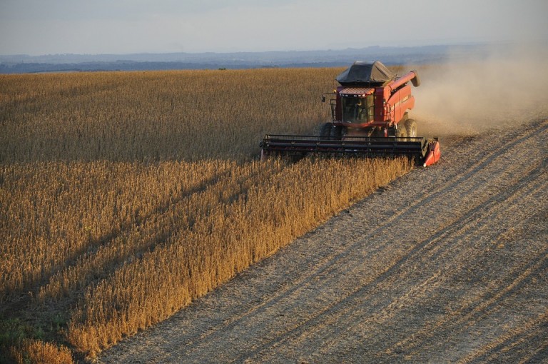 2017 foi um bom ano para o agronegócio paranaense