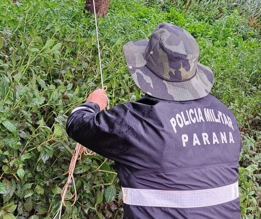 Fim da Piracema: PMA apreende quase 340 kg de peixes