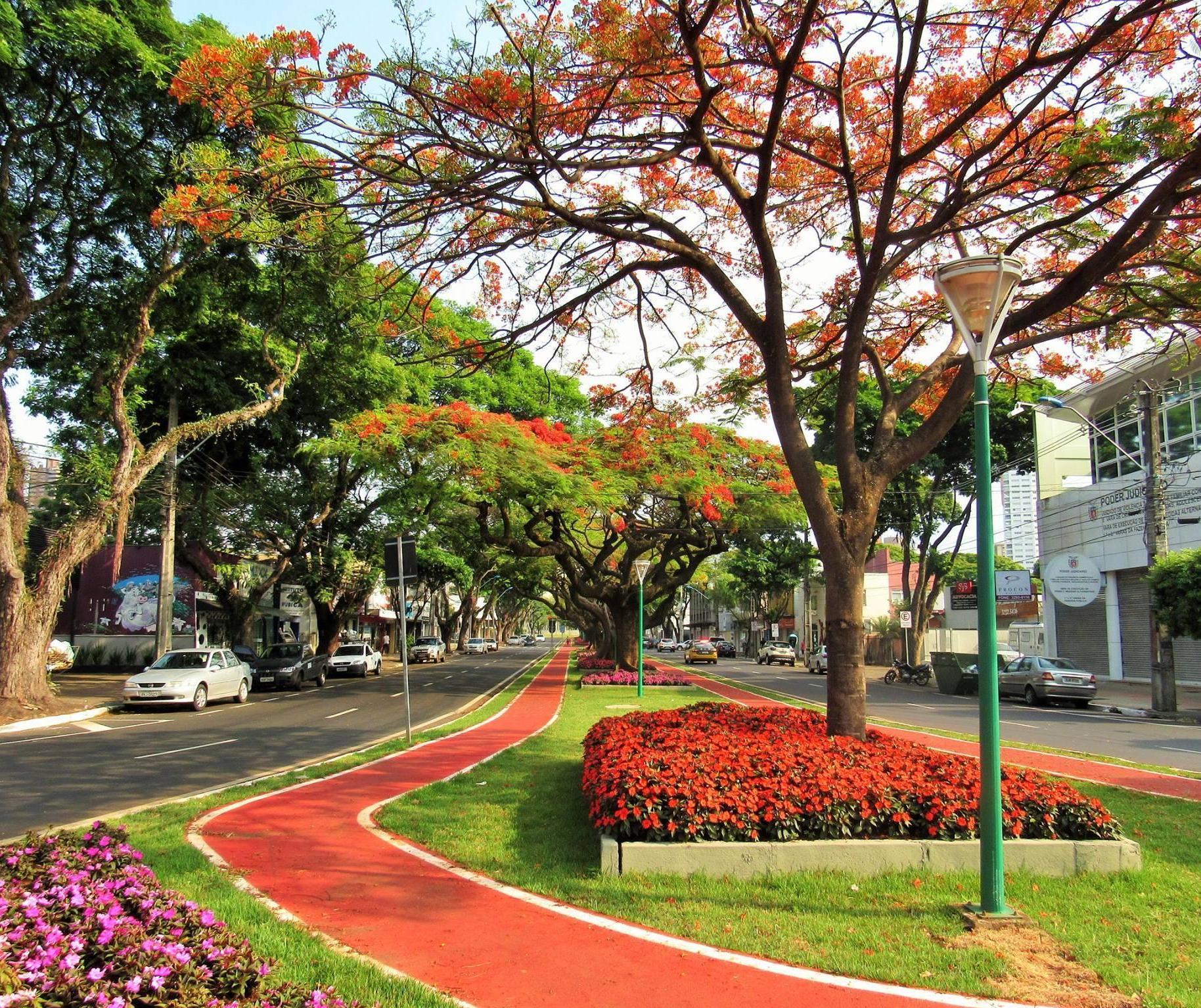 Sexta (25) será de tempo firme em Maringá; calor aumenta no fim de semana
