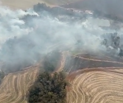 Bombeiros continuam o combate ao grande incêndio que atinge plantações na região