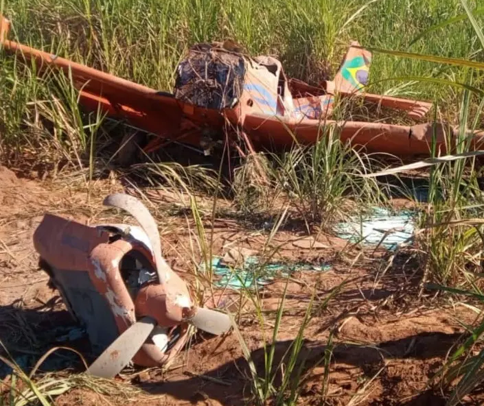 Avião cai em canavial da região e piloto sobrevive